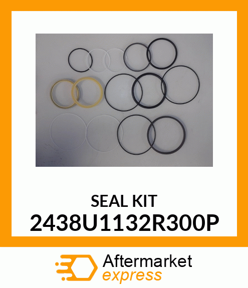 SEAL KIT 2438U1132R300P