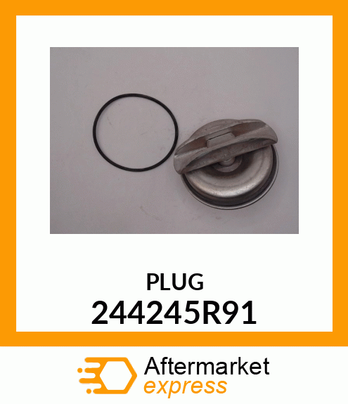 PLUG 244245R91