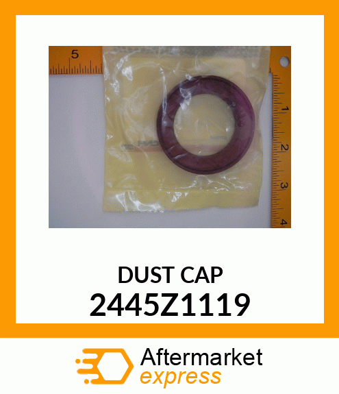 DUST CAP 2445Z1119