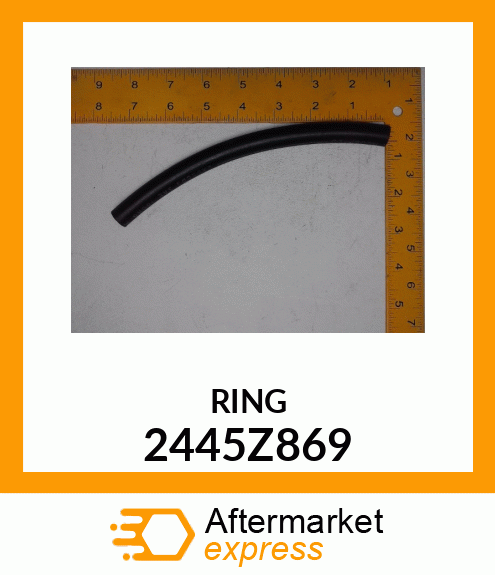 RING 2445Z869