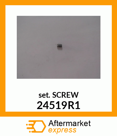 SET SCREW 24519R1