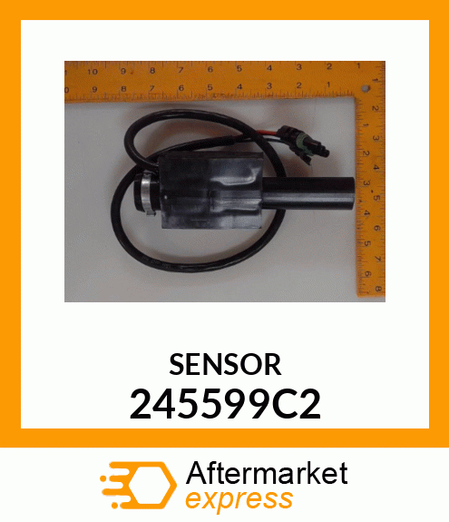 SENSOR 245599C2