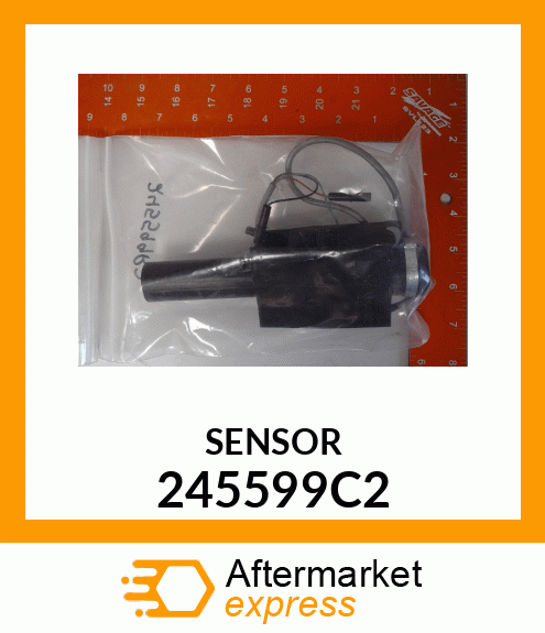 SENSOR 245599C2