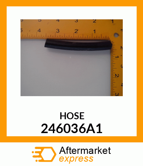 HOSE 246036A1