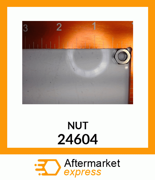 NUT 24604