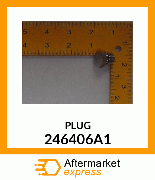 PLUG 246406A1