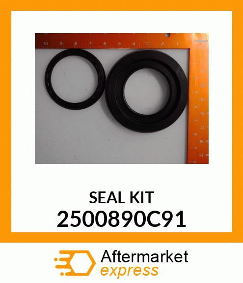 SEAL KIT 2500890C91