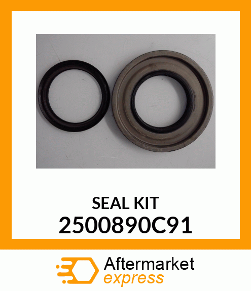 SEAL KIT 2500890C91