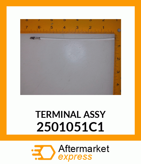 TERMINAL ASSY 2501051C1