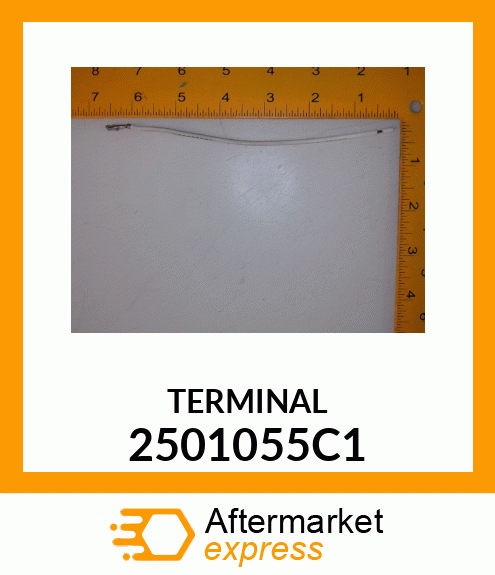 TERMINAL 2501055C1