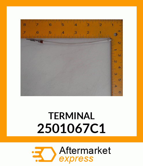 TERMINAL 2501067C1