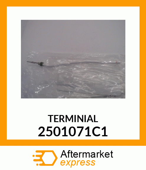 TERMINIAL 2501071C1