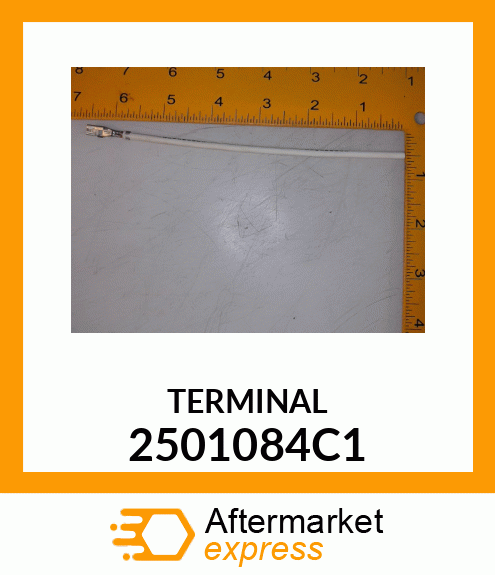 TERMINAL 2501084C1