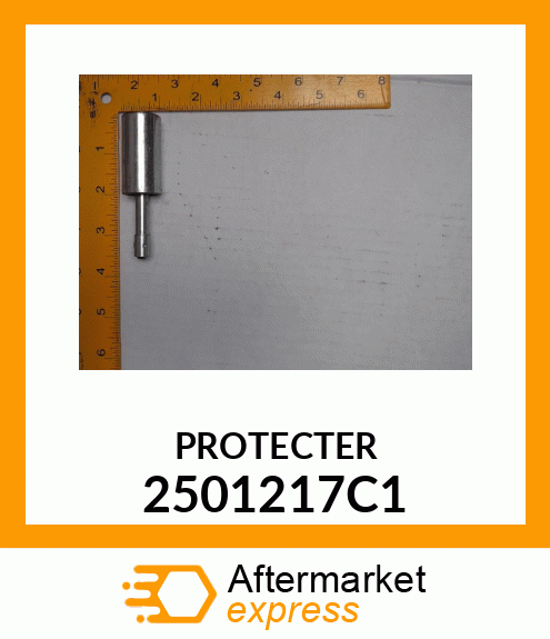 PROTECTER 2501217C1