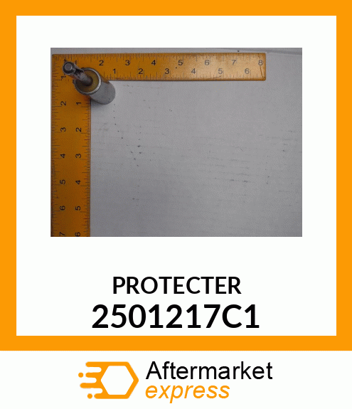 PROTECTER 2501217C1