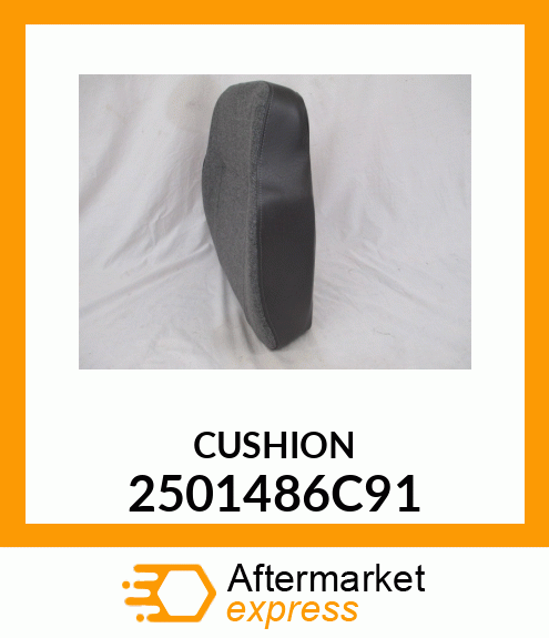 CUSHION 2501486C91