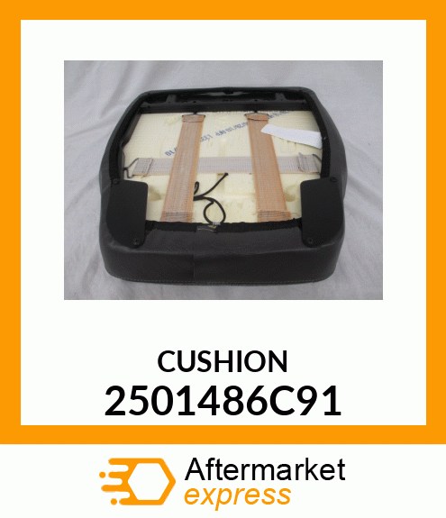 CUSHION 2501486C91