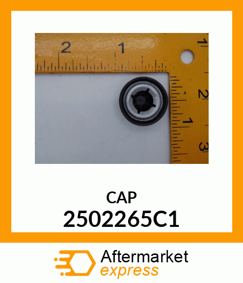 CAP 2502265C1