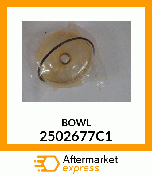 BOWL 2502677C1