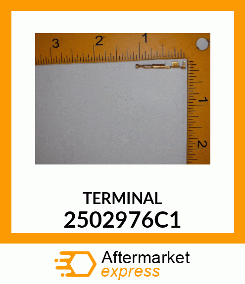 TERMINAL 2502976C1