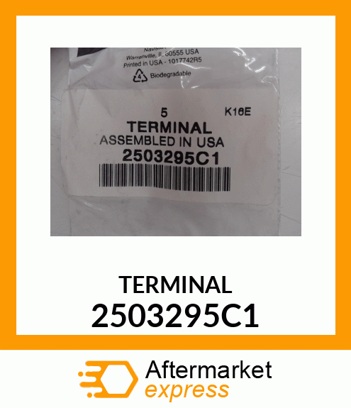 TERMINAL 2503295C1