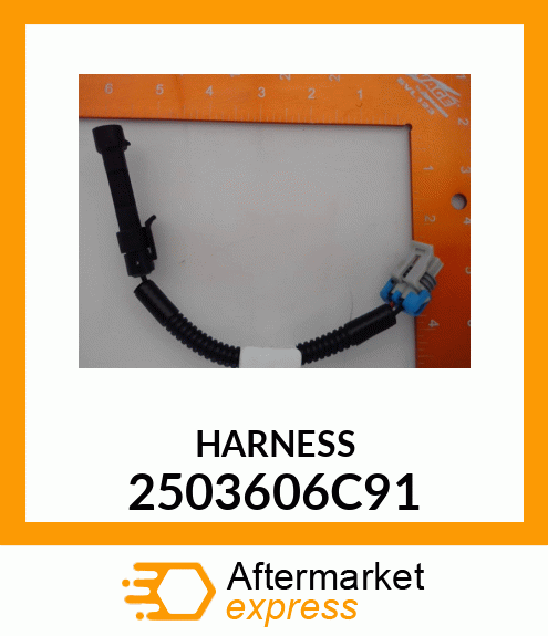 HARNESS 2503606C91