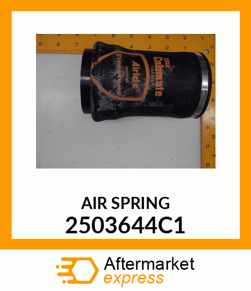 AIR SPRING 2503644C1