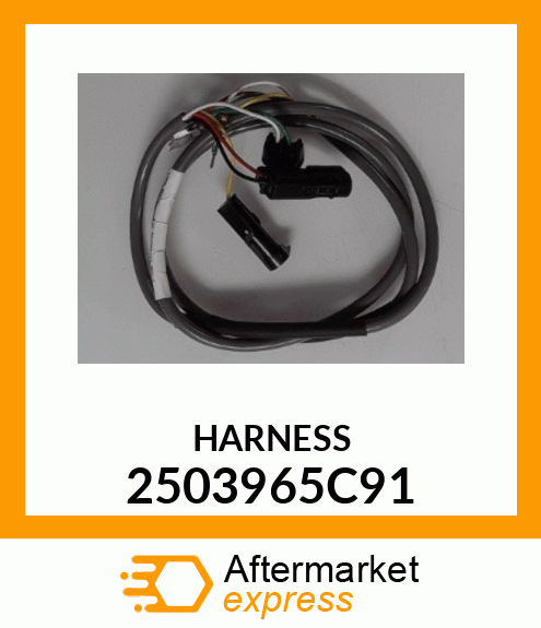 HARNESS 2503965C91