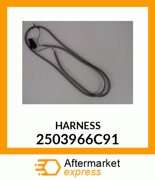 HARNESS 2503966C91