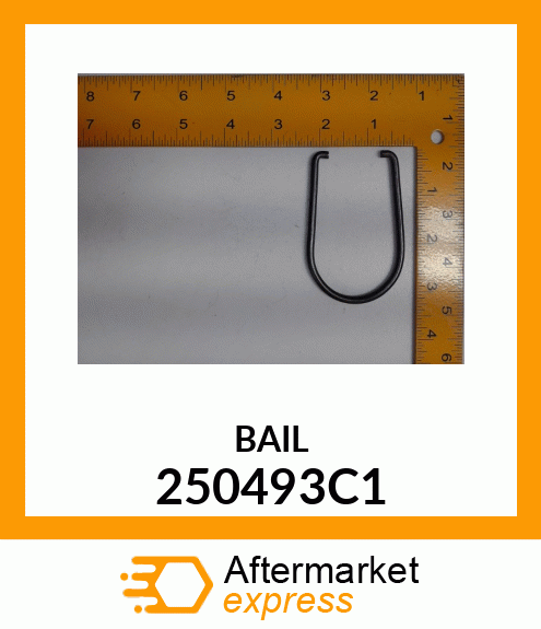 BAIL 250493C1