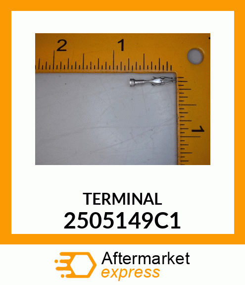 TERMINAL 2505149C1