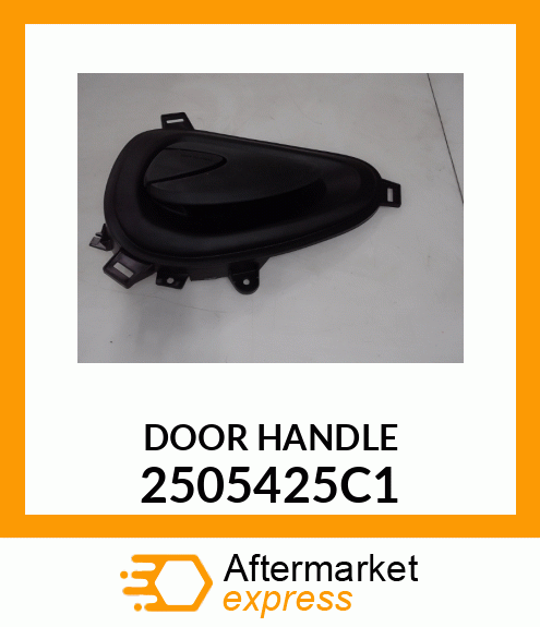 DOOR HANDLE 2505425C1