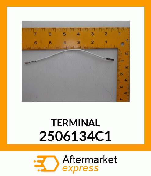 TERMINAL 2506134C1