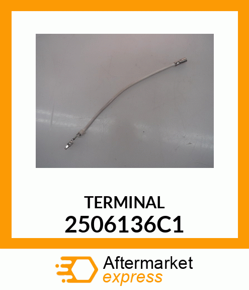 TERMINAL 2506136C1