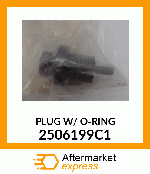 PLUG W/ O-RING 2506199C1