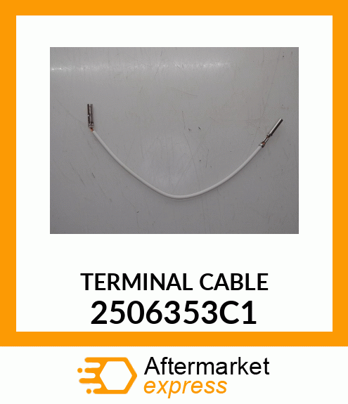 TERMINAL CABLE 2506353C1