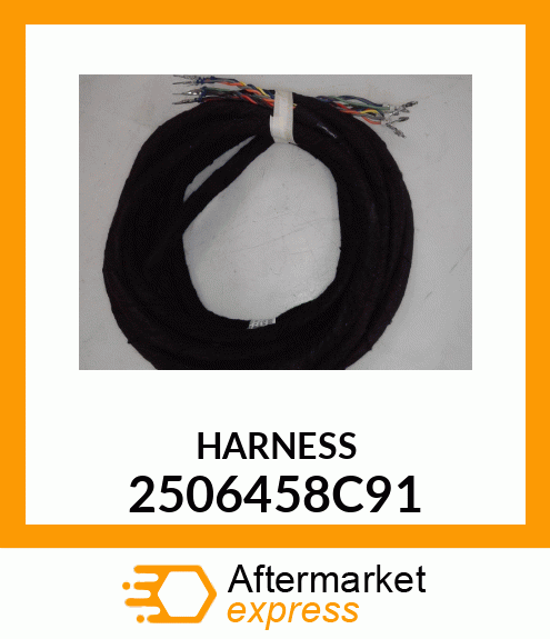 HARNESS 2506458C91