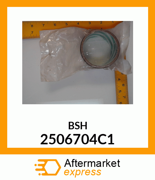 BSH 2506704C1