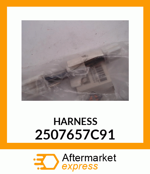 HARNESS 2507657C91