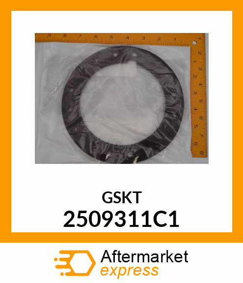 GSKT 2509311C1