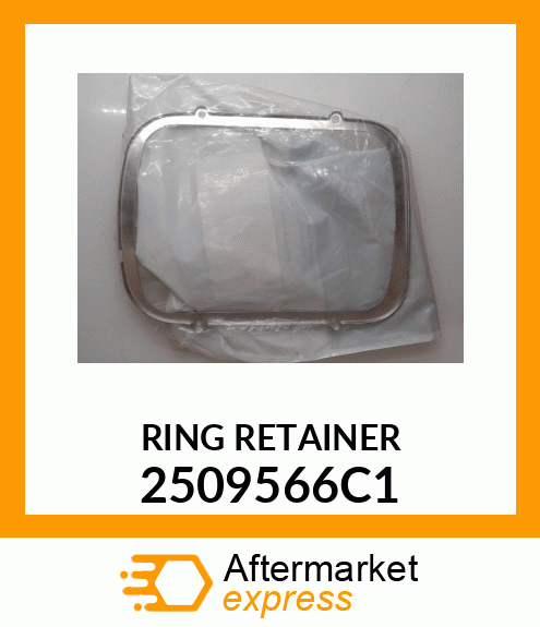 RING RETAINER 2509566C1