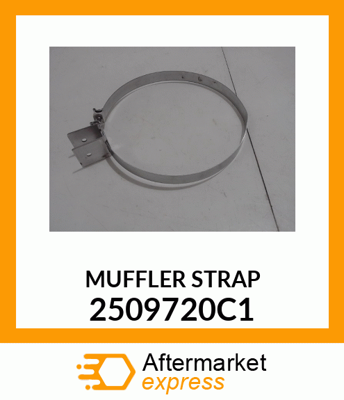 MUFFLER STRAP 2509720C1