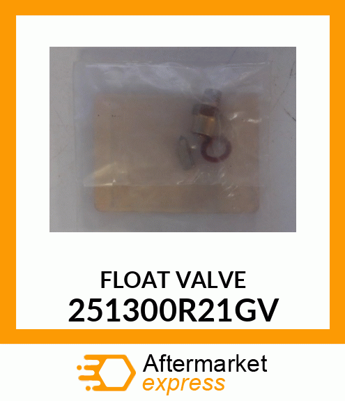 FLOAT VALVE 251300R21GV