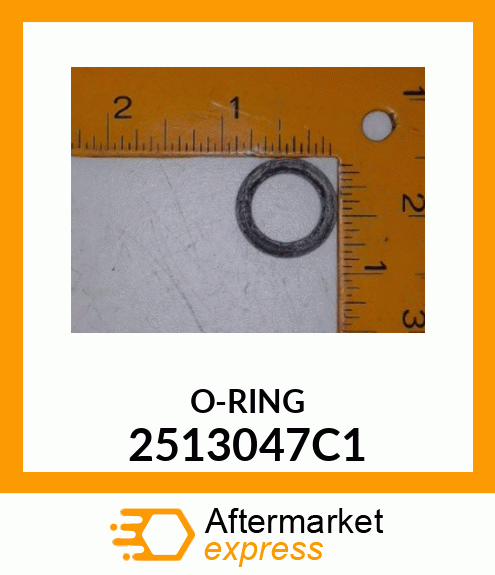 O-RING 2513047C1