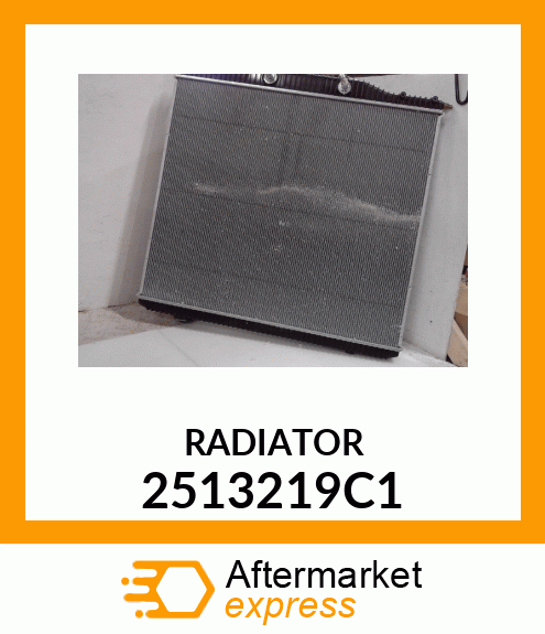 RADIATOR 2513219C1