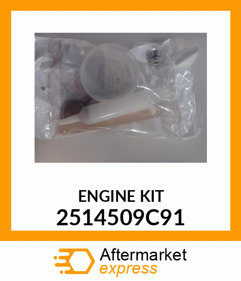ENGINE KIT 2514509C91