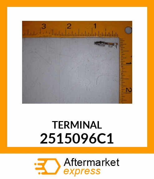 TERMINAL 2515096C1