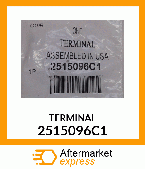 TERMINAL 2515096C1