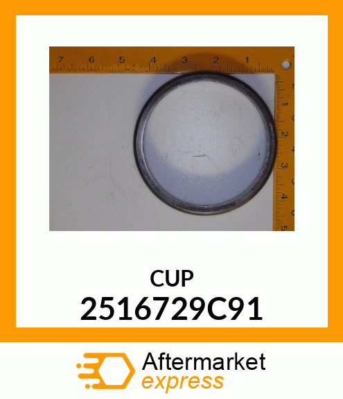 CUP 2516729C91