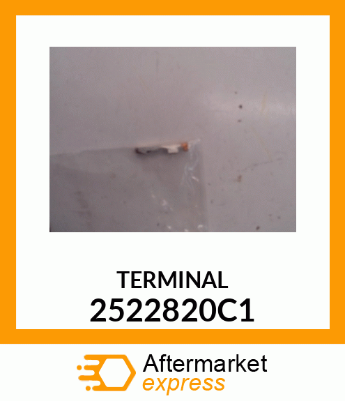 TERMINAL 2522820C1